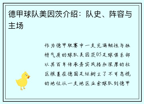 德甲球队美因茨介绍：队史、阵容与主场